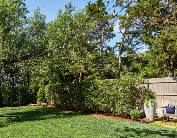 Freshly cut backyard lawn along a wood fence